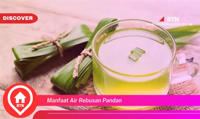 manfaat air rebusan pandan