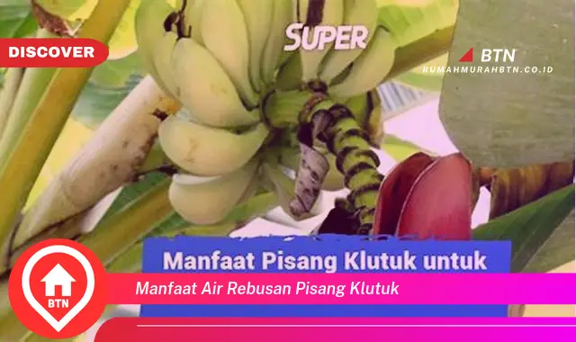 manfaat air rebusan pisang klutuk