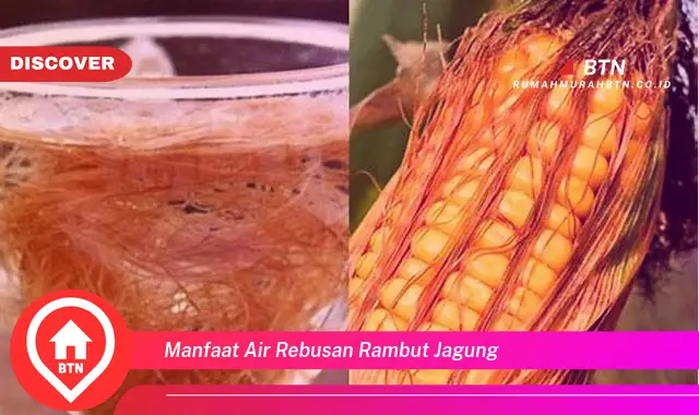 manfaat air rebusan rambut jagung