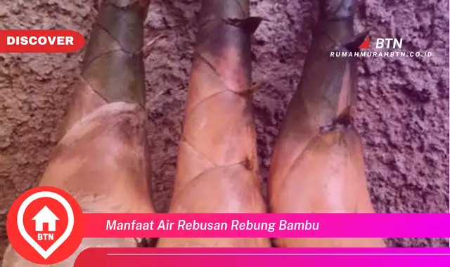 manfaat air rebusan rebung bambu