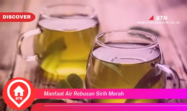 manfaat air rebusan sirih merah