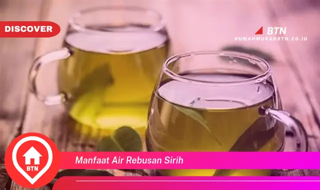 manfaat air rebusan sirih