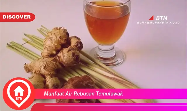 manfaat air rebusan temulawak