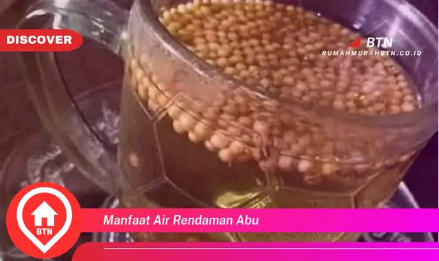 manfaat air rendaman abu