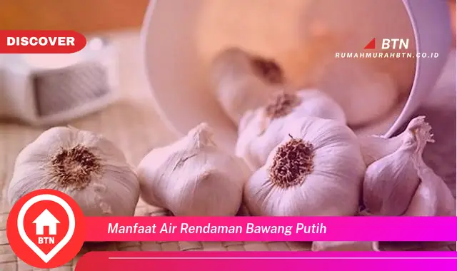 manfaat air rendaman bawang putih