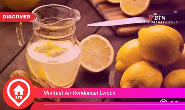 manfaat air rendaman lemon