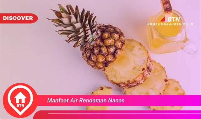 manfaat air rendaman nanas