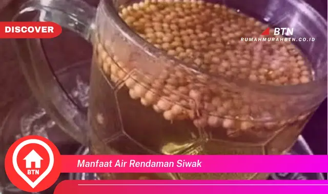 manfaat air rendaman siwak