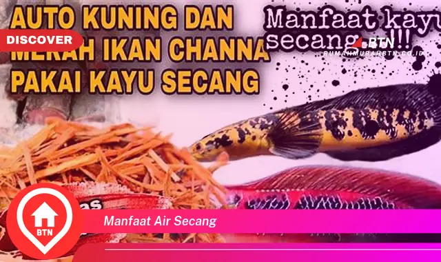 manfaat air secang