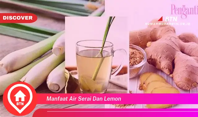 manfaat air serai dan lemon