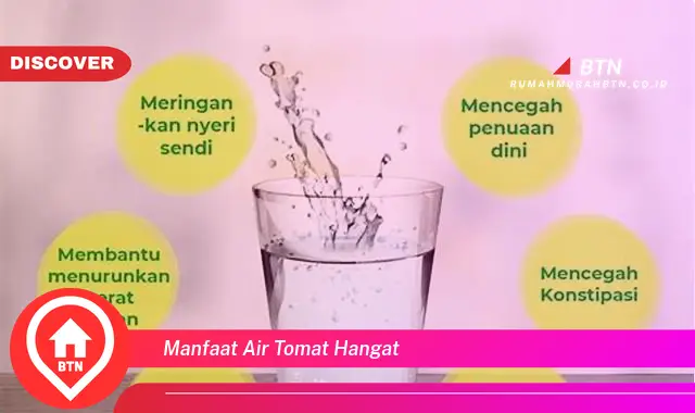 manfaat air tomat hangat