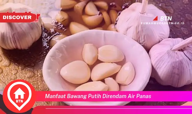 manfaat bawang putih direndam air panas