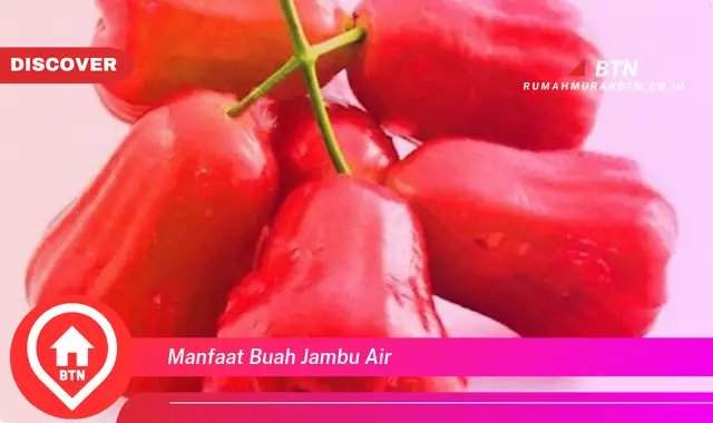 manfaat buah jambu air