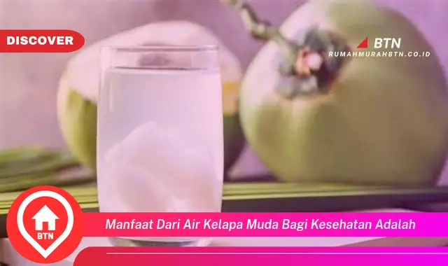 manfaat dari air kelapa muda bagi kesehatan adalah