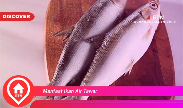 manfaat ikan air tawar