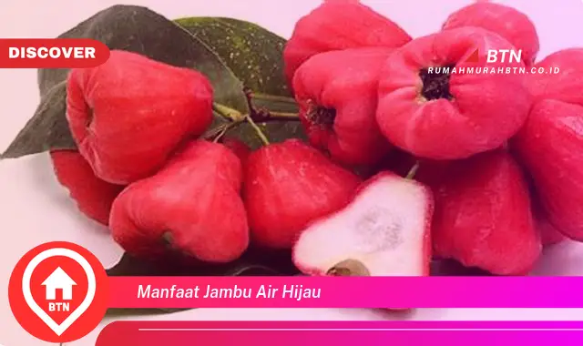 manfaat jambu air hijau