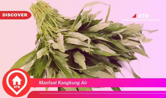 manfaat kangkung air