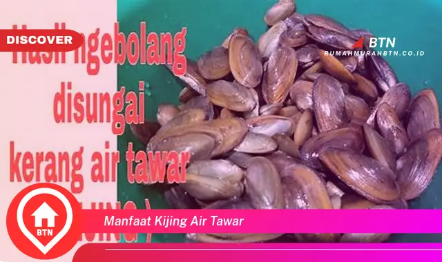 manfaat kijing air tawar