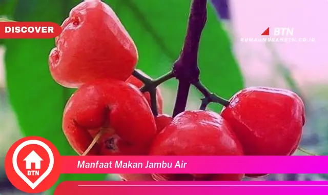 manfaat makan jambu air