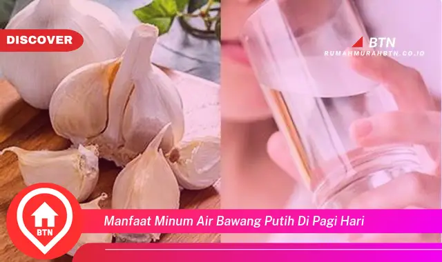 manfaat minum air bawang putih di pagi hari