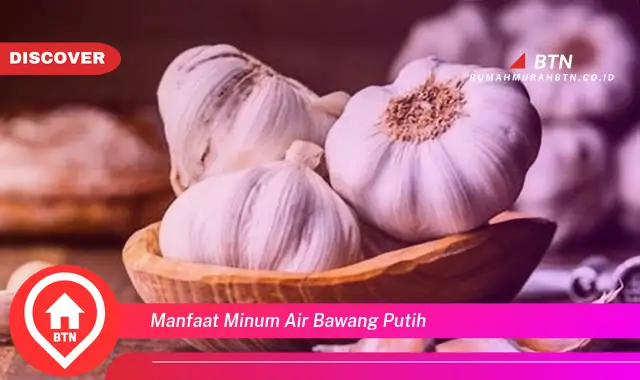 manfaat minum air bawang putih