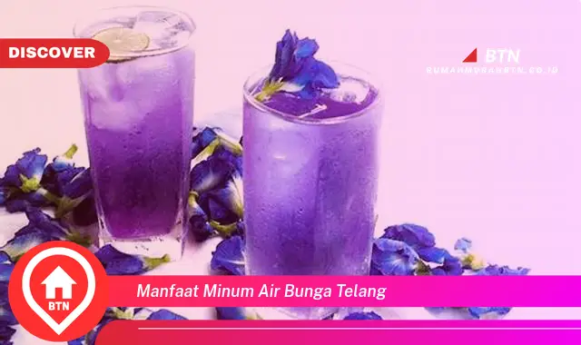 manfaat minum air bunga telang