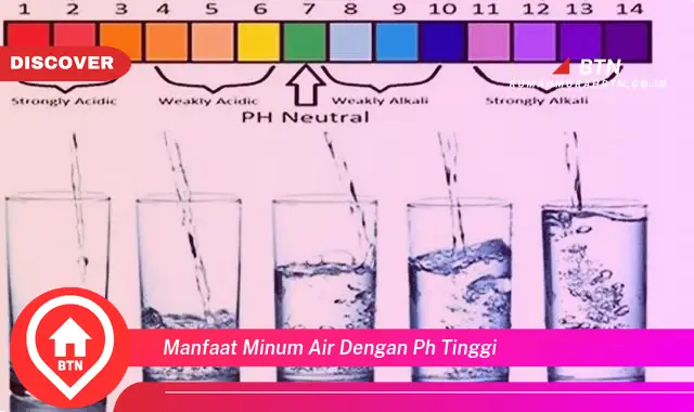 manfaat minum air dengan ph tinggi