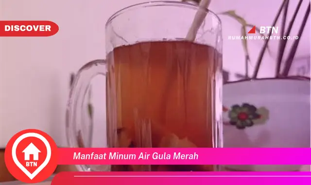 manfaat minum air gula merah