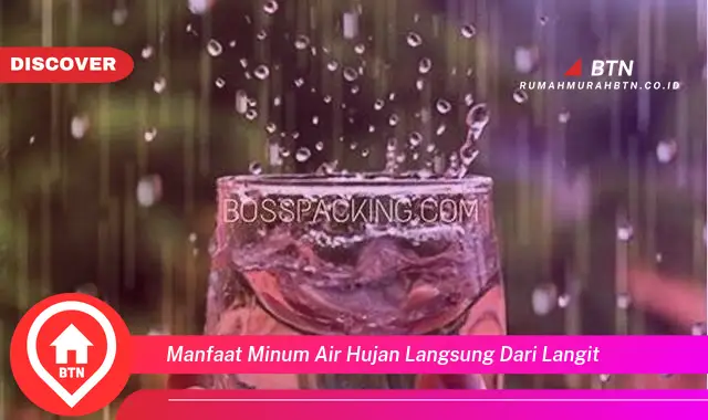 manfaat minum air hujan langsung dari langit