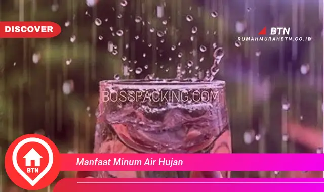 manfaat minum air hujan