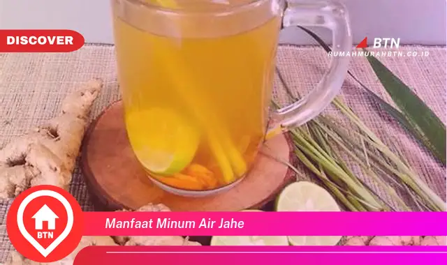 manfaat minum air jahe