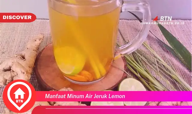 manfaat minum air jeruk lemon