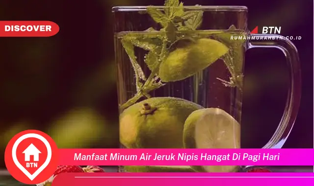 manfaat minum air jeruk nipis hangat di pagi hari