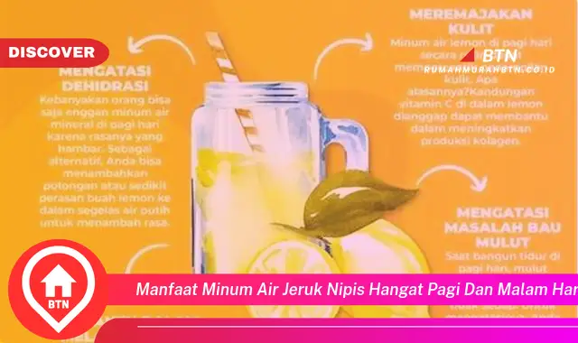 manfaat minum air jeruk nipis hangat pagi dan malam hari