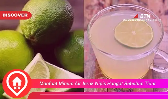 manfaat minum air jeruk nipis hangat sebelum tidur