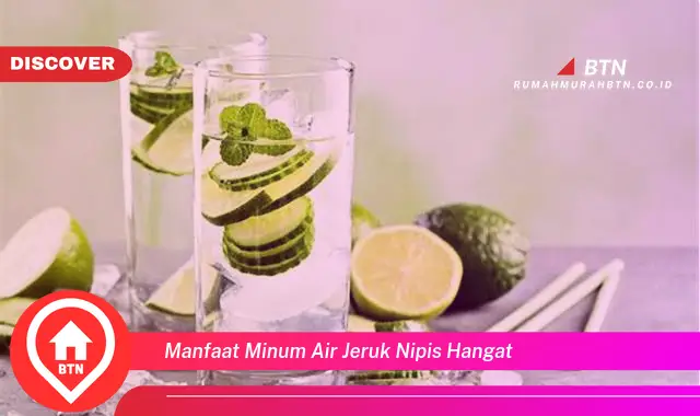 manfaat minum air jeruk nipis hangat