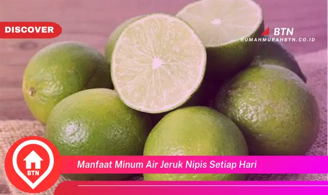 manfaat minum air jeruk nipis setiap hari