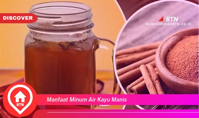 manfaat minum air kayu manis