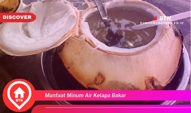 manfaat minum air kelapa bakar