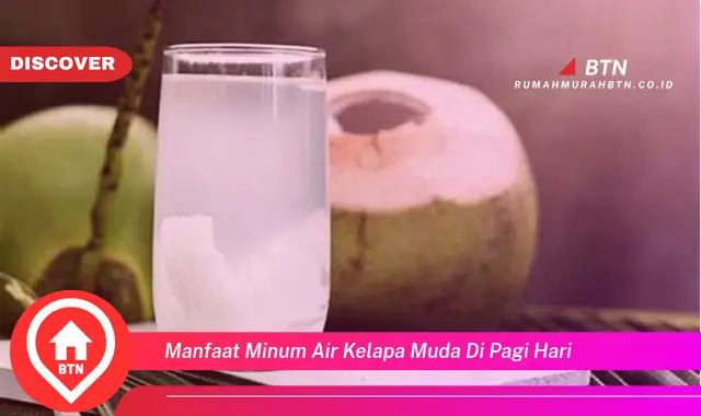 manfaat minum air kelapa muda di pagi hari