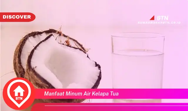 manfaat minum air kelapa tua