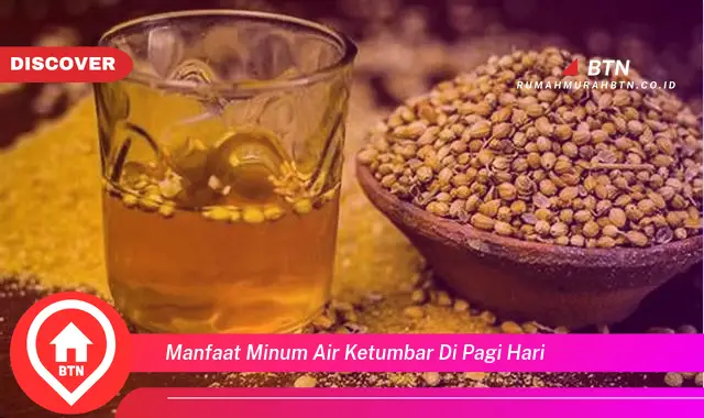 manfaat minum air ketumbar di pagi hari