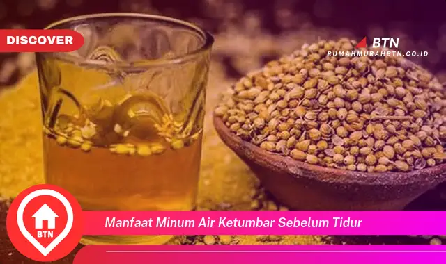 manfaat minum air ketumbar sebelum tidur