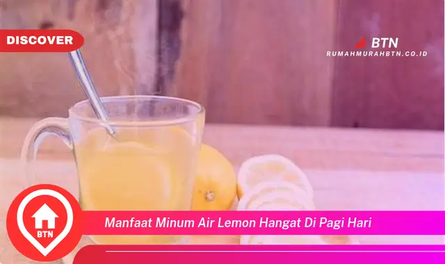 manfaat minum air lemon hangat di pagi hari