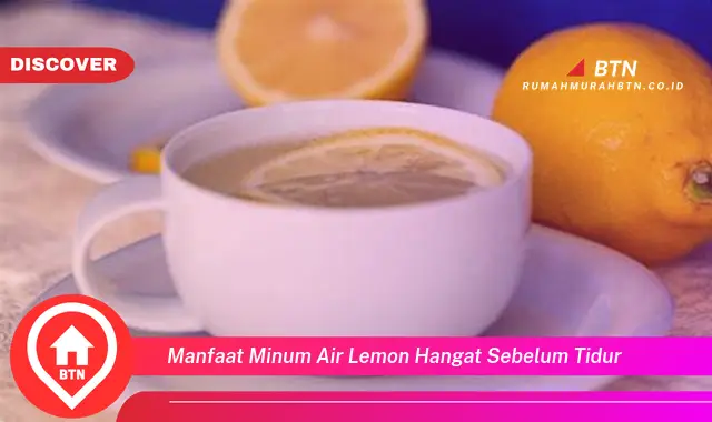 manfaat minum air lemon hangat sebelum tidur