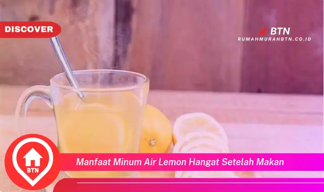 manfaat minum air lemon hangat setelah makan