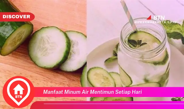 manfaat minum air mentimun setiap hari