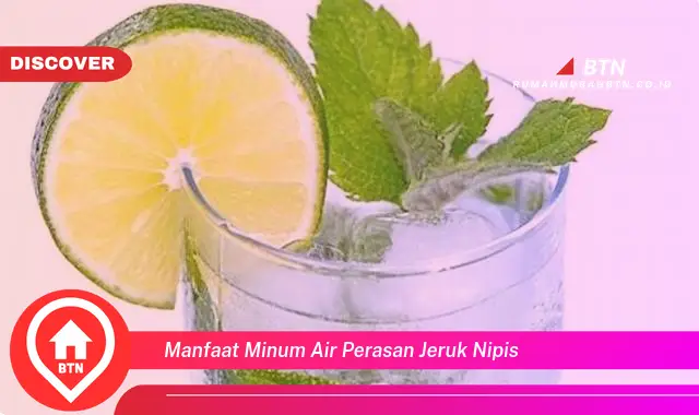 manfaat minum air perasan jeruk nipis