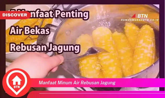 manfaat minum air rebusan jagung