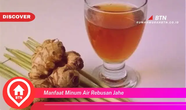 manfaat minum air rebusan jahe